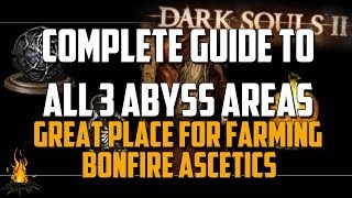 Complete Guide to All 3 Areas of The Dark Chasm of the Abyss for the Pilgrims of Dark Covenant [upl. by Jollenta531]