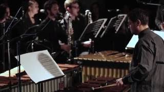 Steve Reich Music for 18 musicians  Armonia Ludus [upl. by Neelra]