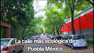 La calle más ecológica de Puebla México [upl. by Siri]