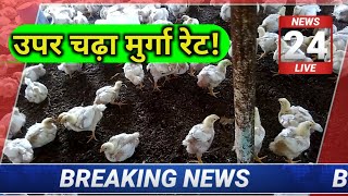 poultry rate today  broiler poultry rate today  chicken rates today  murga mandi rates [upl. by Gaal798]