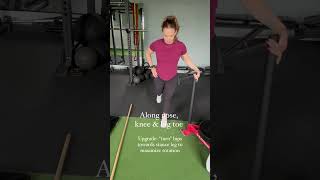 Improve your single leg deadlift technique with this cue [upl. by Naynek]