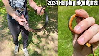 Herping Highlights Of 2024 [upl. by Girardo]