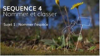 Séquence 4 sujet 1  Nommer l’espèce [upl. by Aisercal460]