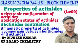 properties of actinides  properties of actinide series  class 12 actinides [upl. by Winfrid982]