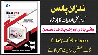 Nilzan Plus  Deworming کیسے کروائیں  Nilzan Se وائی بادی اور میٹھا زہر ختم  Best Dewormers [upl. by Nevins672]