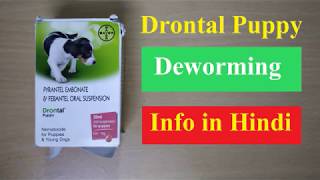 Drontal Puppy Deworming Medicine Information in Hindi [upl. by Einafit]