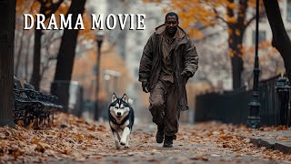 Full movie drama  A meeting that changed their lives  Adventure comedy best movies🎬🎥 [upl. by Yluj941]