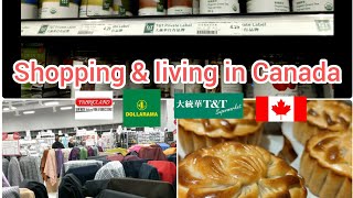 Shopping 🛒amp Living in Canada 🇨🇦 Fabricland Dollarama T amp T home made mooncake [upl. by Ellednahc]