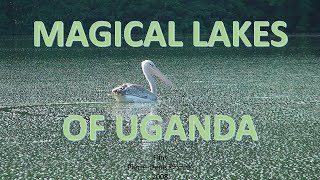 Magical lakes of Uganda [upl. by Syck]