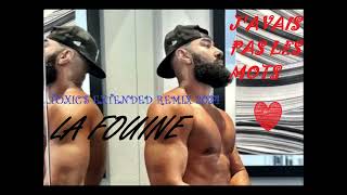 LA FOUINE  JAVAIS PAS LES MOTS TOXICS EXTENDED REMIX 2024 [upl. by Annola]