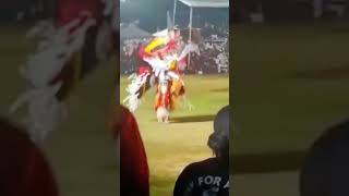 Barona Powwow 2024 [upl. by Undry]