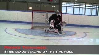 Breakaway Video Goaltending [upl. by Reseda142]