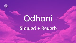 Odhani odh ke nachu SlowedReverb  Tere Naam [upl. by Dorthea]