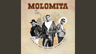 Molomita feat Nel Ngabo amp Kenny Sol [upl. by Euhsoj]