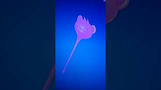 Gummi thumper pickaxe in fortnite [upl. by Hannaoj522]