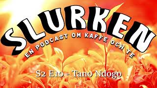 Slurken S2E10  Tano Ndogo [upl. by Loziram]