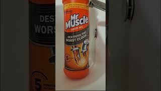 Mr Muscle Drain Unblocker Gel  Sink Test [upl. by Gilboa726]