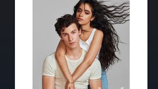 Shawn Mendes and Camila Cabello Past Life Reading How Do They Feel  camilacabelloshawnmendes [upl. by Cirenoj]