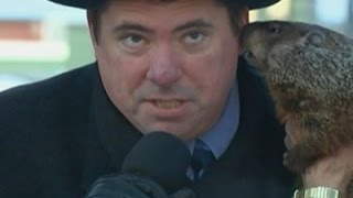 Groundhog Bites Wisconsin Mayor at Ceremony [upl. by Jamnes]