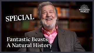 Fantastic Beasts A Natural History With Stephen Fry  Wizarding World [upl. by Eseenaj]