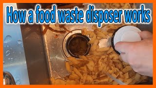 How a food waste disposer works  what does it grind [upl. by Artema]