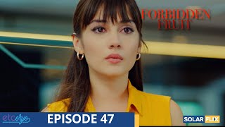 Forbidden Fruit Episode 47  FULL EPISODE  TAGALOG DUB  Turkish Drama [upl. by Enaz]