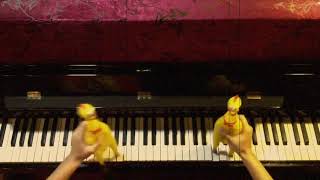 Chopsticks on the Piano Rubber Chicken Cover [upl. by Jacinta898]