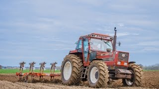 Labour avec un Fiatagri 16090 en Normandie [upl. by Dranyar]