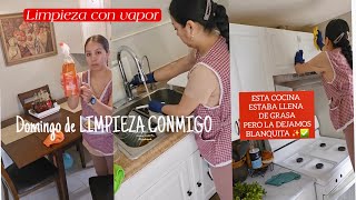 esta COCINA ESTABA LLENA DE GRASA LA DEJAMOS BLANQUITA LIMPIEZA CON VAPOR SIN QUIMICOS [upl. by Esyned]