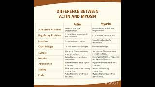 difference between Actin and myosin [upl. by Natanoj692]