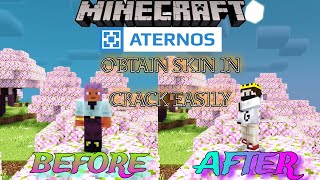 how to get your own skin in aternos server  skin restorer plugin [upl. by Fairweather]