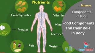 Class 6 Science Chapter 2 Components of Food  Food Components and their Role in Body [upl. by Kyrstin251]