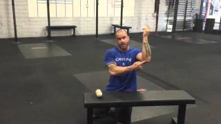 Elbow pain and the Four Point fix  Trevor Bachmeyer  SmashweRx [upl. by Jarid]