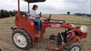 New Organic and Hobby Farm Tractor Tilmor  Modern AllisChalmers G [upl. by Guria446]