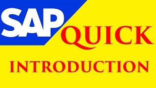 SAP Training Online Tutorial  Especially for SAP Beginners [upl. by Aivil443]