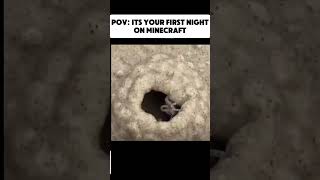 What happens on the first night on Minecraft minecraftshorts firstnight gamingvideos minecraft [upl. by Elleimac]