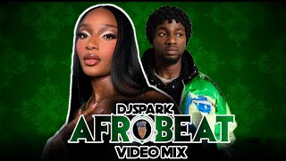 TOP LATEST 2024 NAIJA AFROBEAT VIDEO MIX BY DJ SPARK FT BURNA BOYWIZKIDDAVIDOASAKEOMAH LAY [upl. by Damiani]