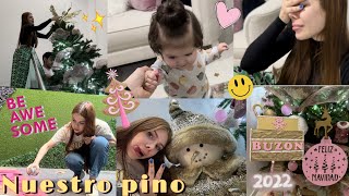 ASÍ QUEDO NUESTRO PINO DE NAVIDAD pt2🎄💌  Vlog [upl. by Darsey]