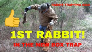 Rabbit Box Trap1st Catch [upl. by Ellenod]