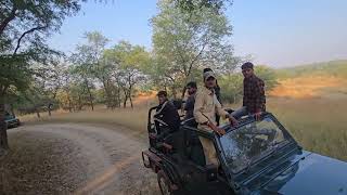 Panna Tiger Reserve Madhya Pradesh youtubevideos pannatigerreserve [upl. by Hooke]