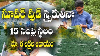 డిమాండ్ ఉన్న పంట  స్పైరులినా  ఏ తిప్పలు లేకుండా మార్కెటింగ్  Spirulina Farming  Bharat [upl. by Eceinaj]