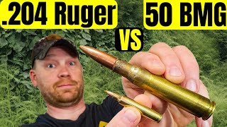 204 Ruger vs 50 BMG  Best Weed Killer [upl. by Azeria904]