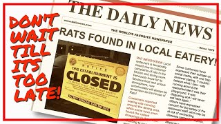 Remove Rats From Your Restaurant Holes Discretion Vendors Never Use Poison Call A Pro Melbourn [upl. by Siramed]