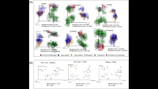 Analysis Of Similarity ANOSIM in R [upl. by Pascale236]