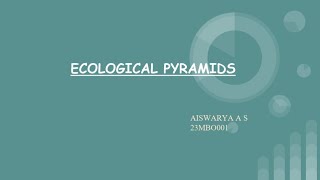 ECOLOGICAL PYRAMIDS [upl. by Chelsy]