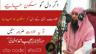 Amazing Recitation Tilawat Quran Majeed Qari Sohaib Ahmad Meer Muhammadi AL Furqan Studio Official [upl. by Wilkinson]