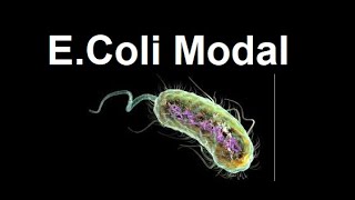 Escherichia coli E coli as modal organism  2024 [upl. by Ayojal]