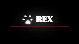 Kommissar Rex New Style Intro 2 [upl. by Artcele]