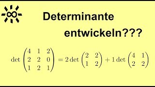 Determinante  Entwicklungssatz von Laplace  Beispielrechnung [upl. by Garges]