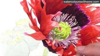 How to paint a realistic poppy centre in watercolor by Anna Mason [upl. by Lise]